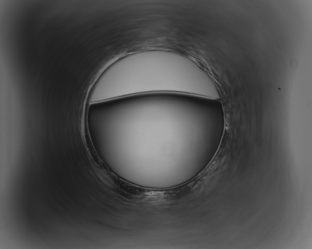 X0000099570052200805160734