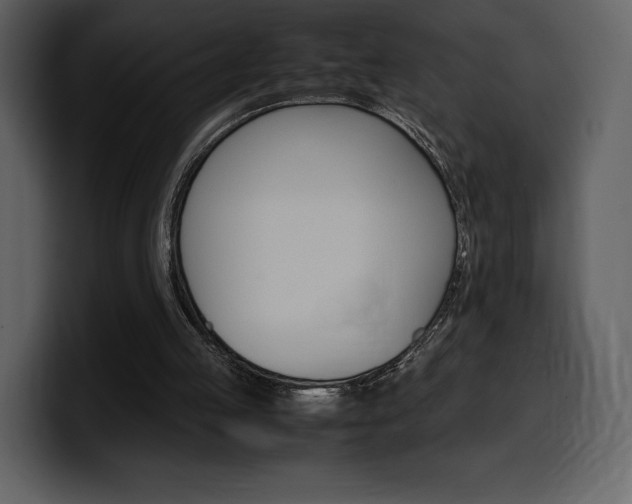 X0000099570053200805160734