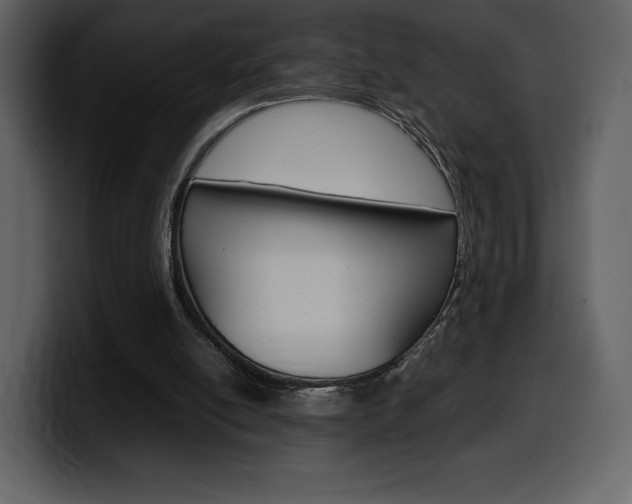 X0000099570054200805160734