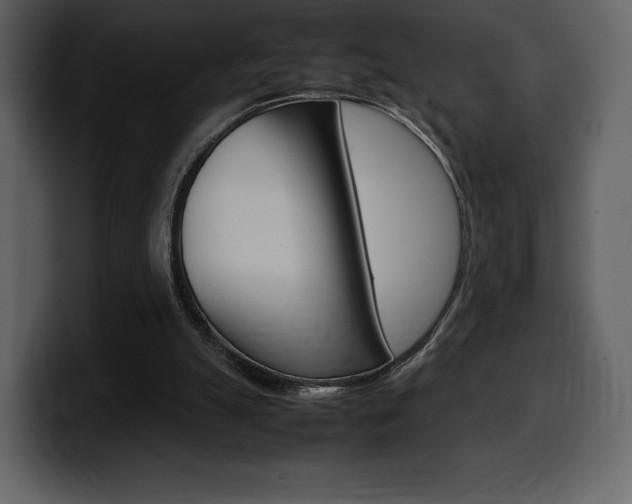 X0000099570055200805160734