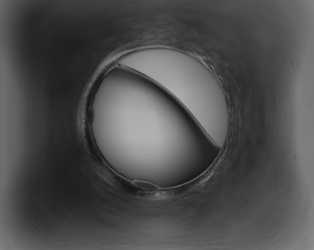 X0000099570056200805160734