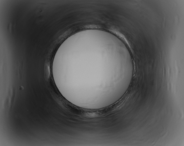 X0000099570061200805160734