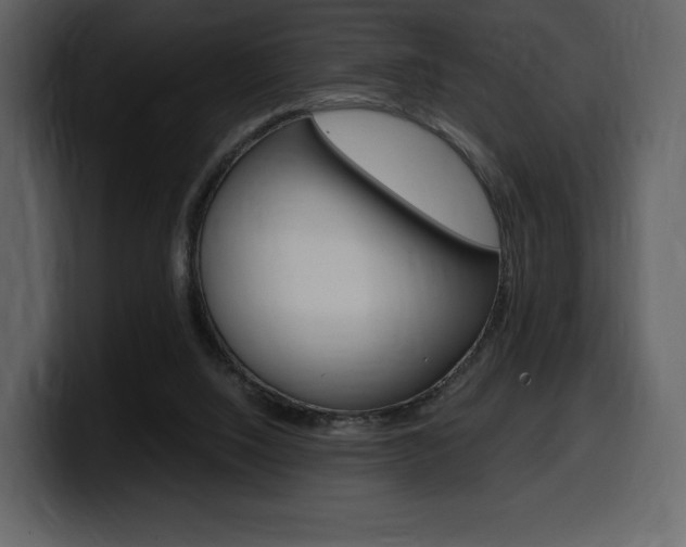 X0000099570064200805160734