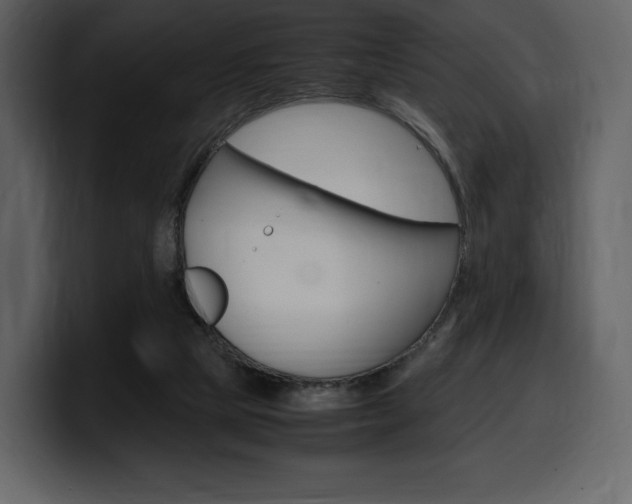 X0000099570065200805160734