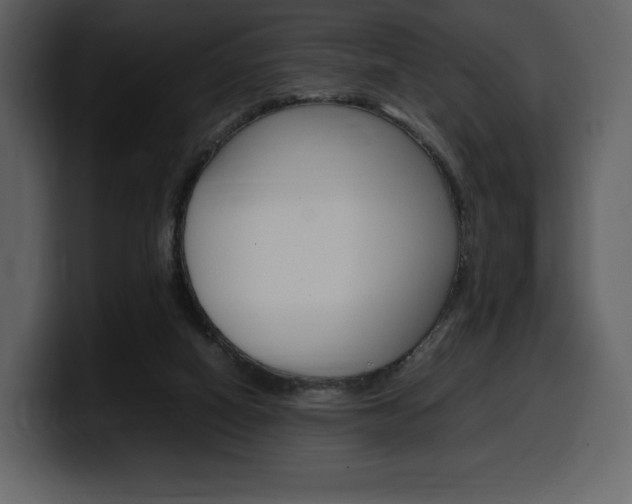 X0000099570066200805160734