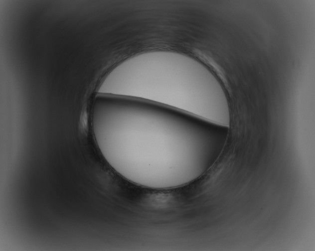 X0000099570067200805160734
