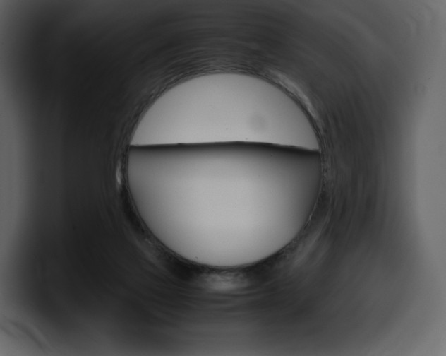 X0000099570069200805160734