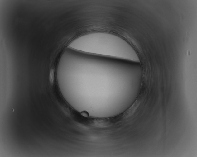 X0000099570070200805160734