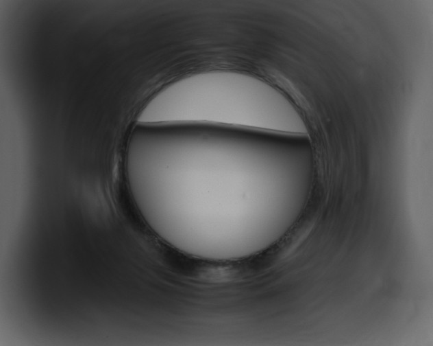 X0000099570071200805160734