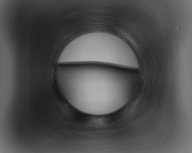 X0000099570073200805160734