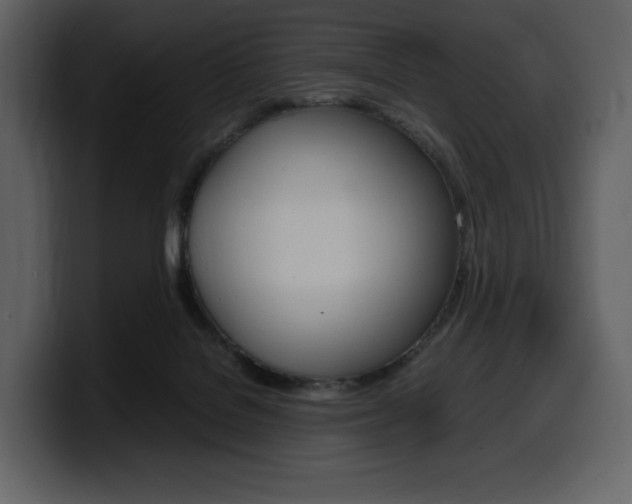 X0000099570076200805160734