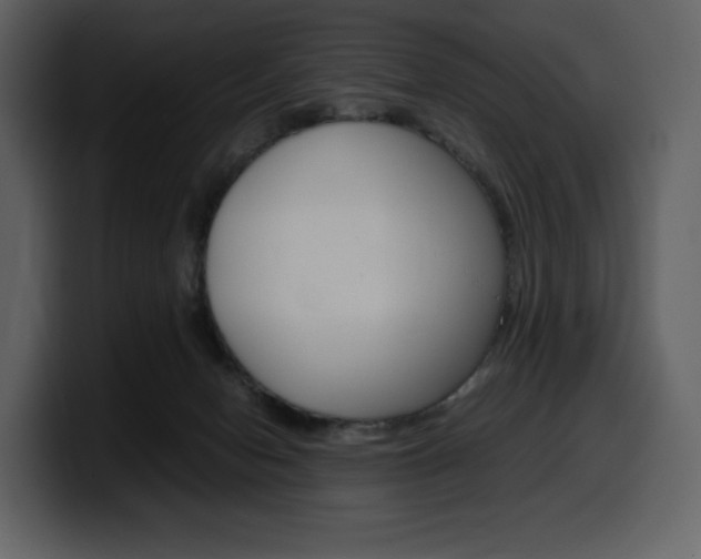 X0000099570078200805160734