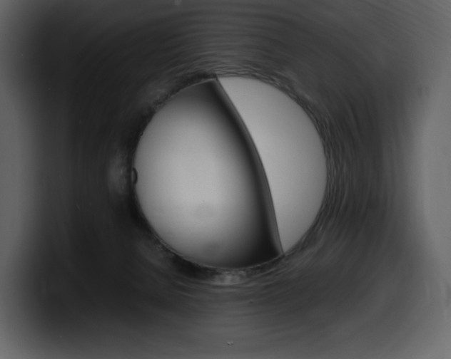 X0000099570080200805160734