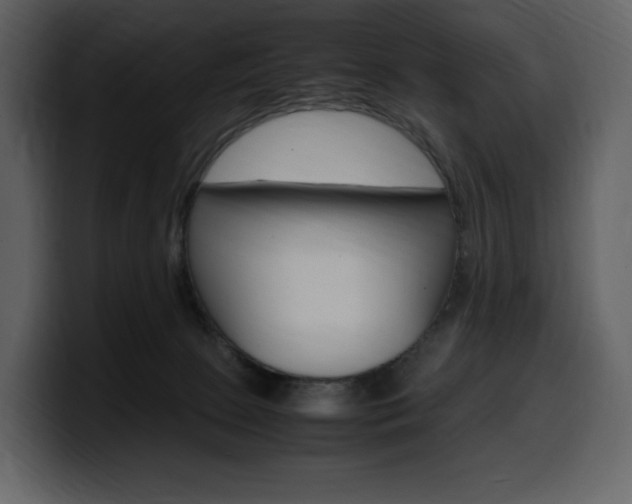 X0000099570081200805160734