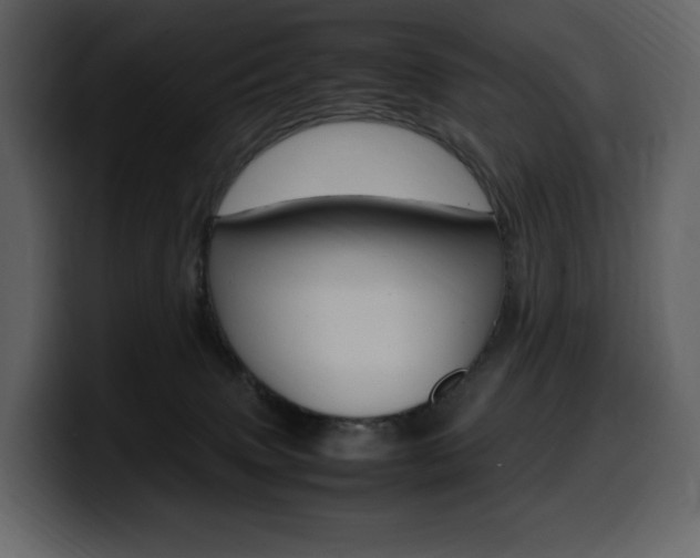 X0000099570083200805160734