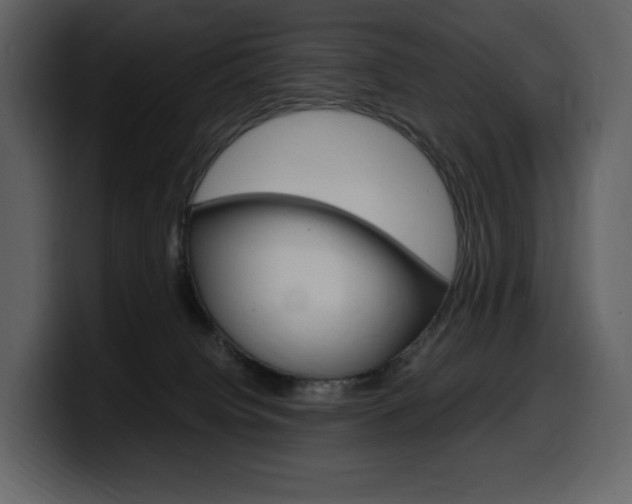 X0000099570084200805160734
