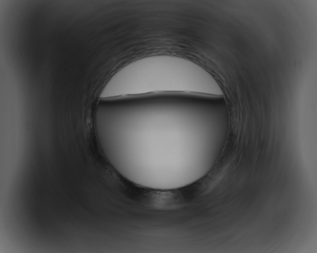 X0000099570085200805160734