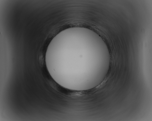 X0000099570086200805160734