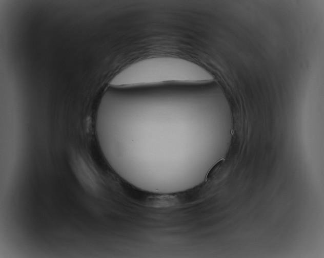 X0000099570087200805160734