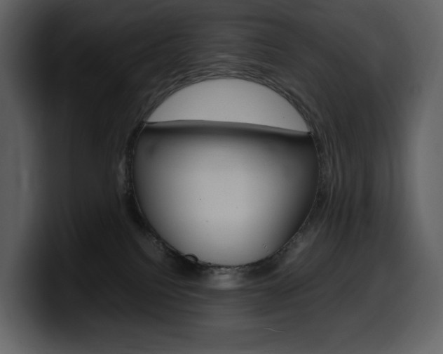 X0000099570088200805160734