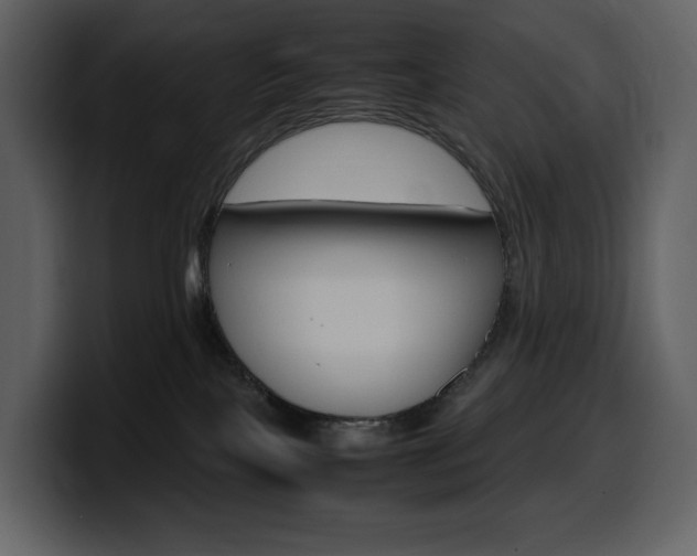 X0000099570089200805160734
