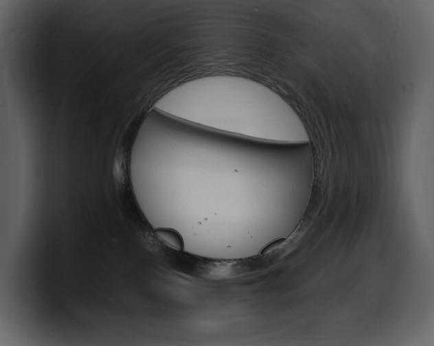 X0000099570090200805160734