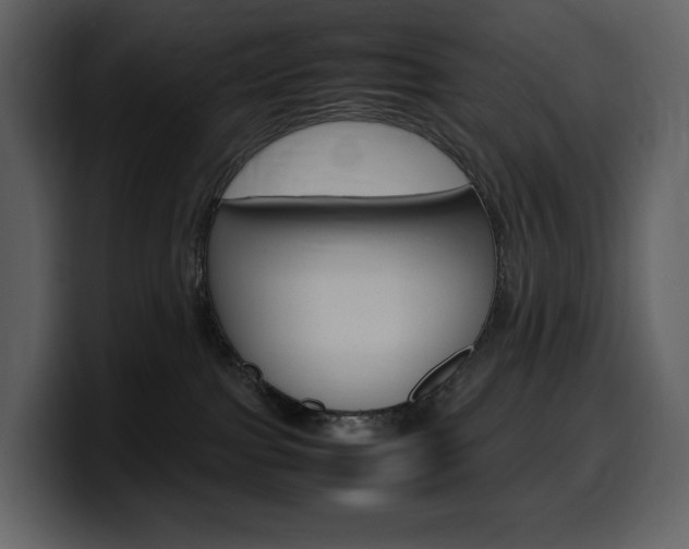 X0000099570091200805160734