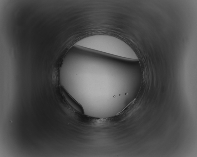 X0000099570092200805160734