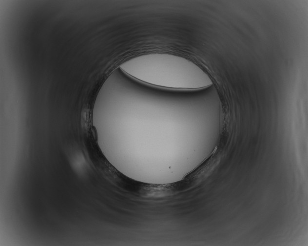 X0000099570093200805160734