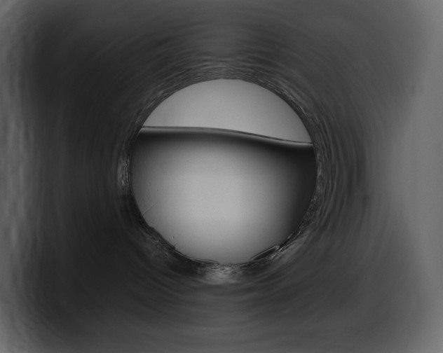 X0000099570096200805160734