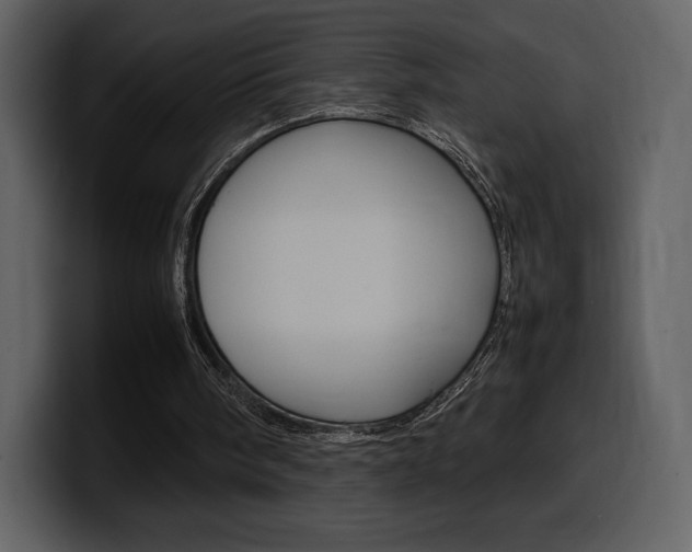 X0000099570098200805160734