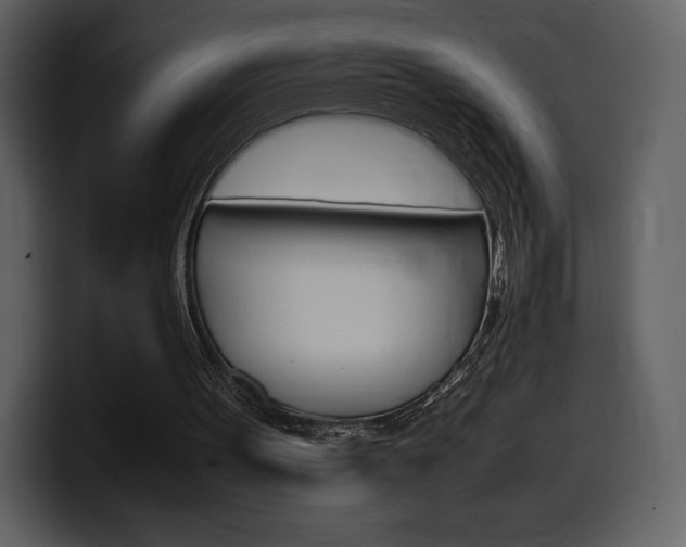 X0000099570099200805160734