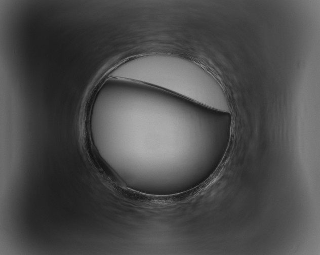 X0000099570101200805160734