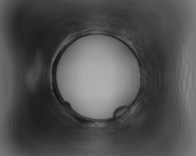 X0000099570102200805160734