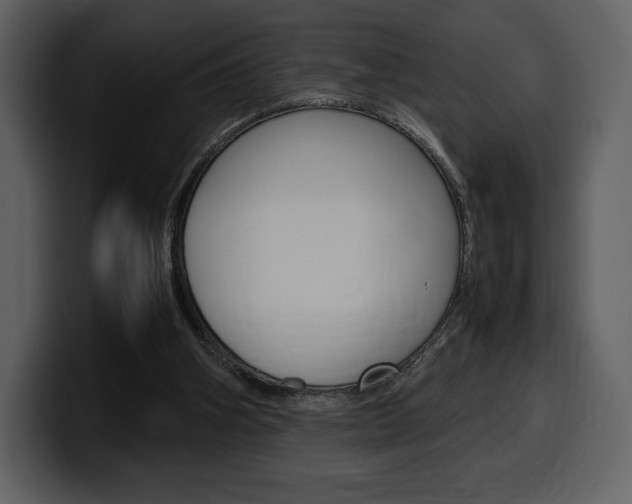 X0000099570106200805160734