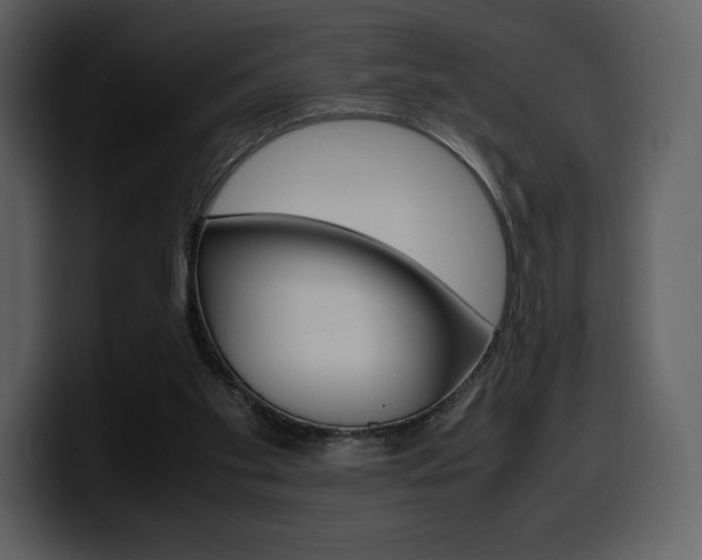 X0000099570109200805160734