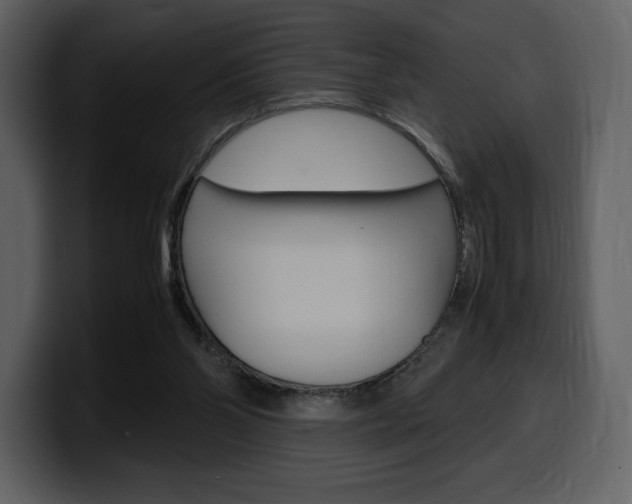 X0000099570110200805160734