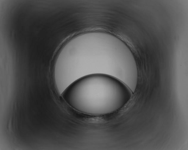X0000099570112200805160734