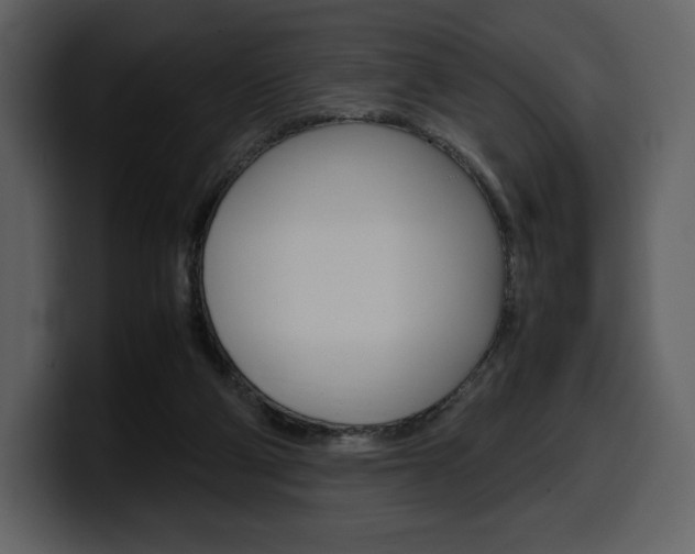 X0000099570114200805160734