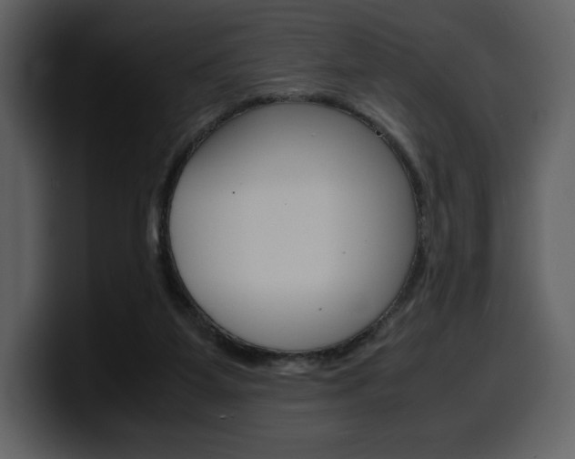 X0000099570115200805160734