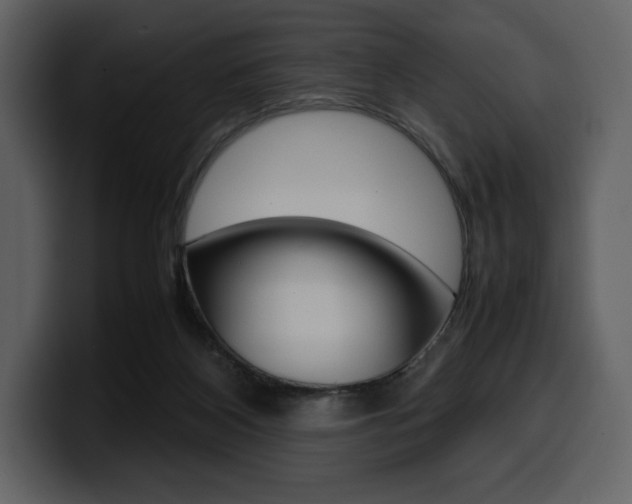 X0000099570116200805160734