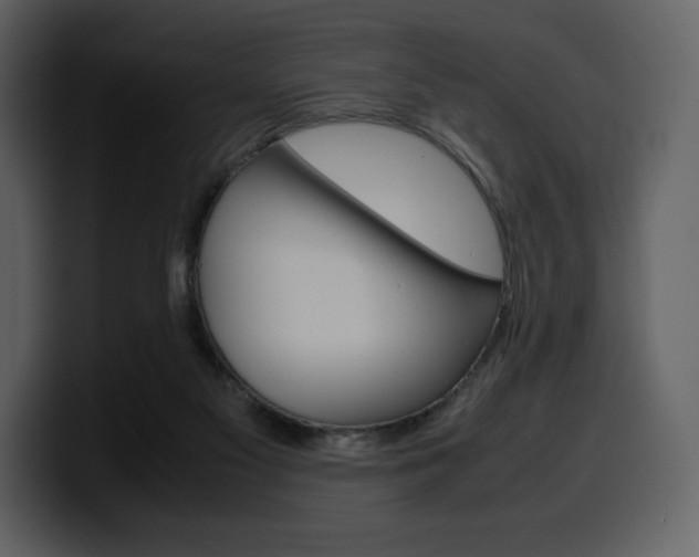 X0000099570117200805160734