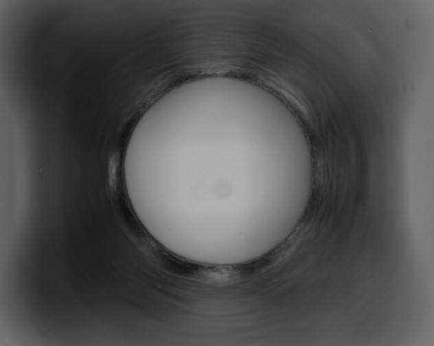 X0000099570118200805160734