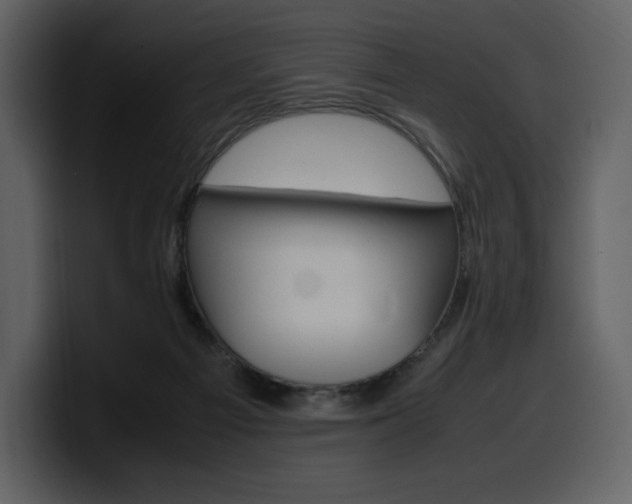 X0000099570121200805160733