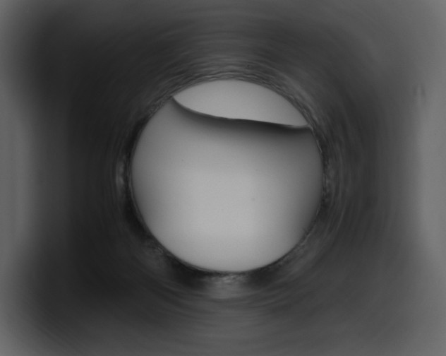 X0000099570122200805160733