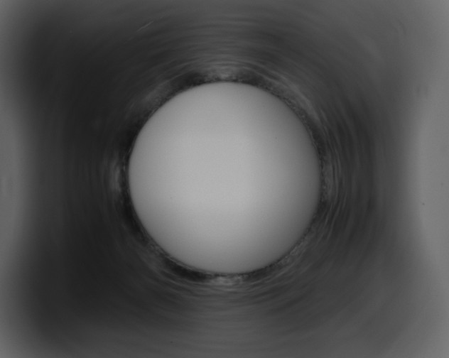 X0000099570126200805160733