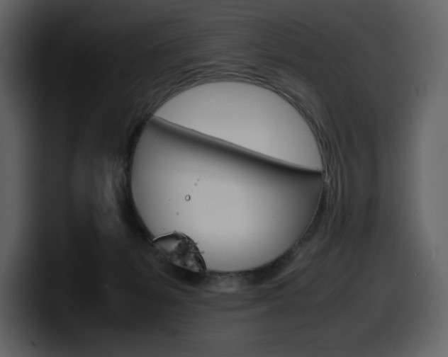 X0000099570127200805160733