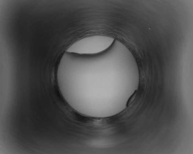 X0000099570130200805160733