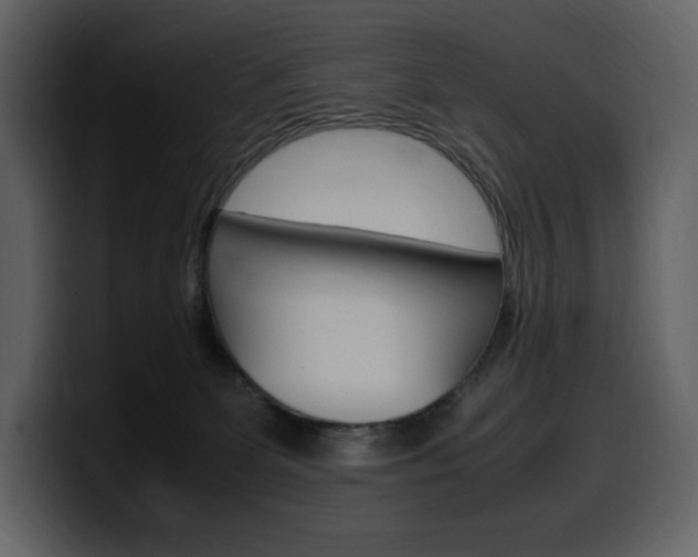 X0000099570131200805160733