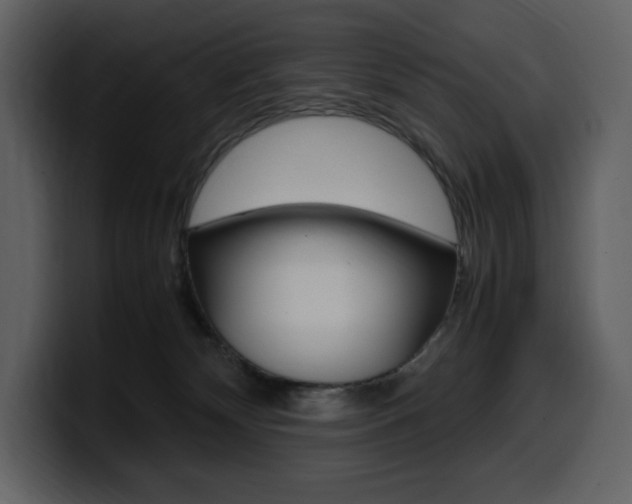 X0000099570132200805160733